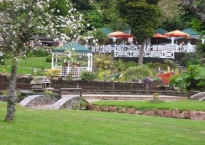 Cockington Tea Gardens